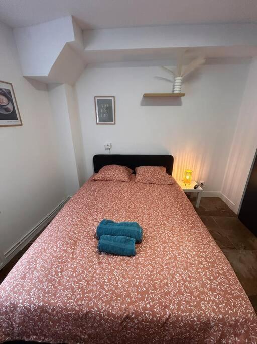 La Ptite Albi Home Νανσύ Εξωτερικό φωτογραφία