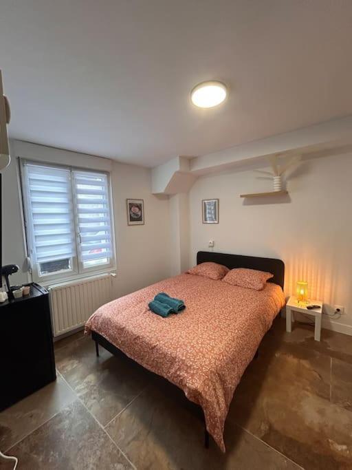 La Ptite Albi Home Νανσύ Εξωτερικό φωτογραφία